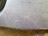 L31, Kia Ceed 2008, 1.6, бензин, МКПП
