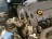 L33, Kia Ceed 2008, 1.4, бензин, МКПП