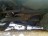 D38, Hyundai i30 2011, 1.4, бензин, МКПП