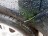 B455, Hyundai Getz 2007, 1.4, бензин, МКПП