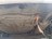 M14, Ford Fusion 2005, 1.4, бензин, МКПП