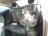 D352, Opel Corsa 2008, 1.4, бензин, МКПП