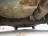 B697, Ford Fusion 2007, 1.4, бензин, МКПП