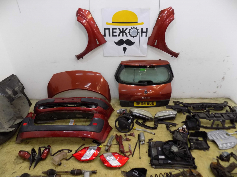 D64, Renault Scenic 2005, 1.6, бензин, АКПП