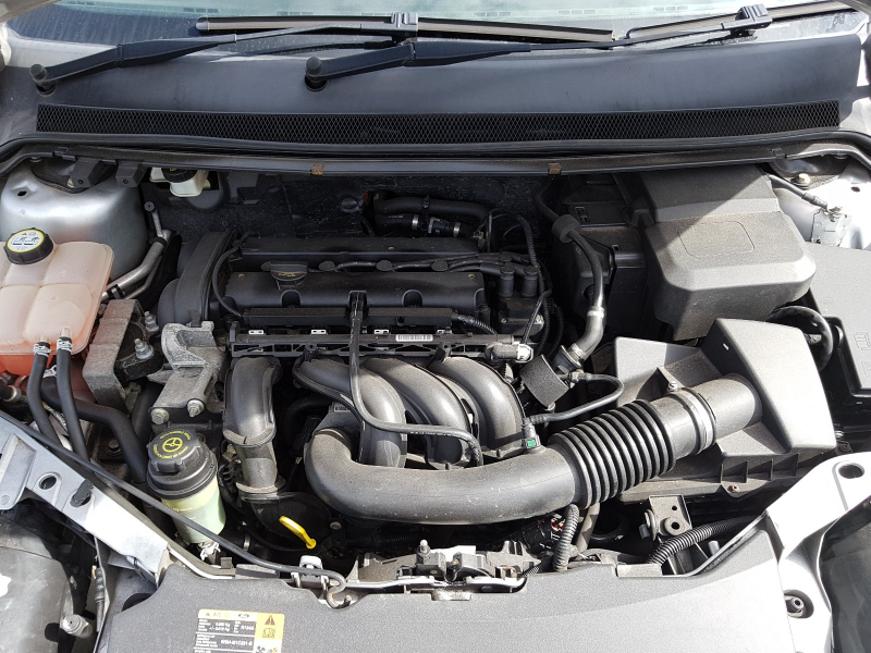 L177, Ford Focus 2006, 1.6, бензин, АКПП