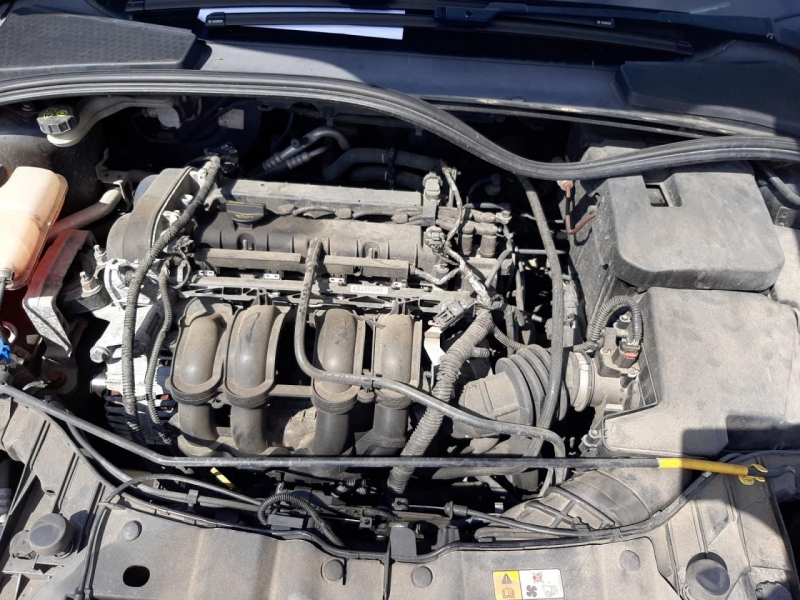 F809, Ford Focus 2011, 1.6, бензин, МКПП