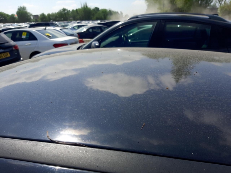 F809, Ford Focus 2011, 1.6, бензин, МКПП