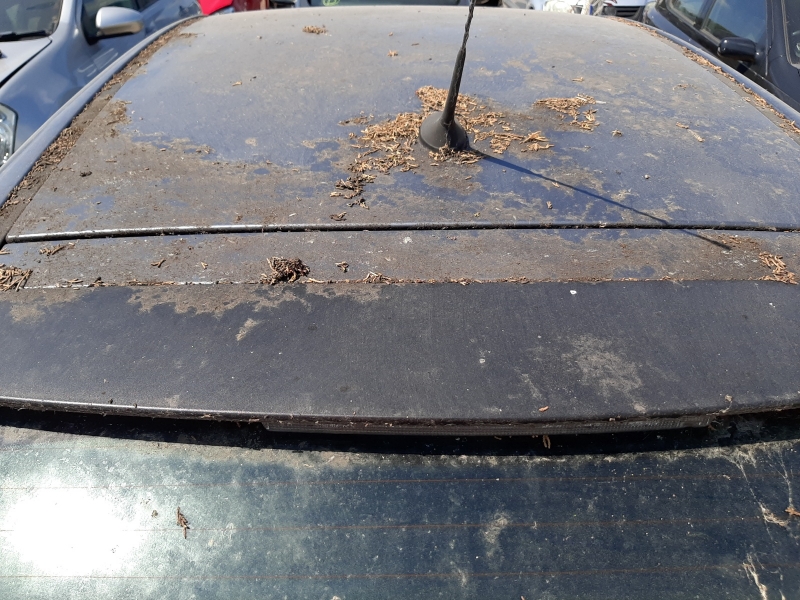 F844, Citroen C4 2006, 1.6, бензин, АКПП