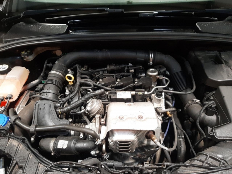 W21, Ford Focus 2017, 1.0, бензин, МКПП