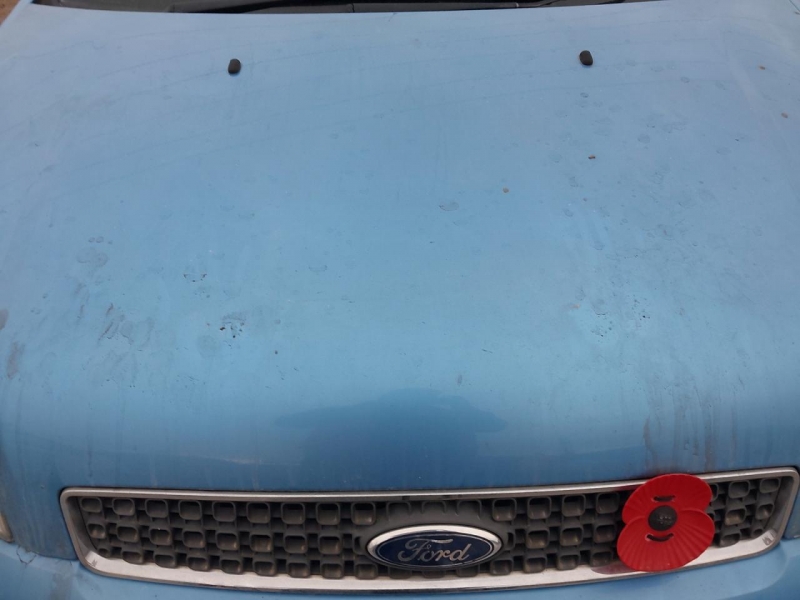 W107, Ford Fusion 2009, 1.6, бензин, АКПП