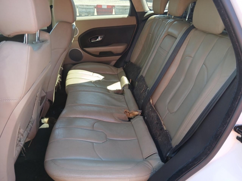 Y80, Land Rover Range Rover 2012, 2.2, дизель, МКПП
