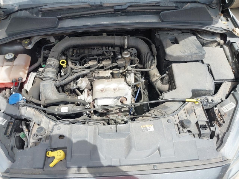 W274, Ford Focus 2017, 1.0, бензин, МКПП