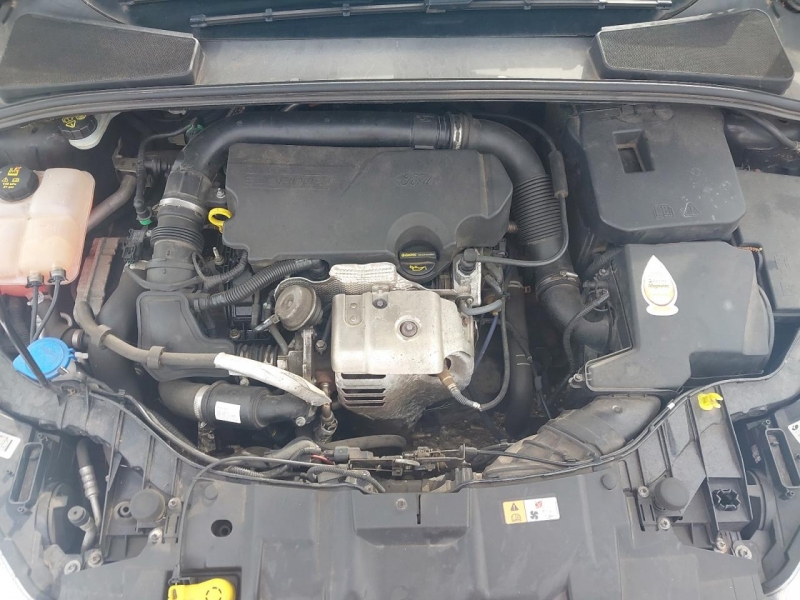 W277, Ford Focus 2015, 1.0, бензин, МКПП