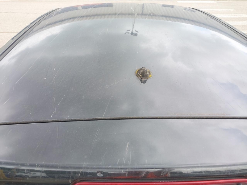 Y119, Nissan Qashqai 2007, 1.6, бензин, МКПП