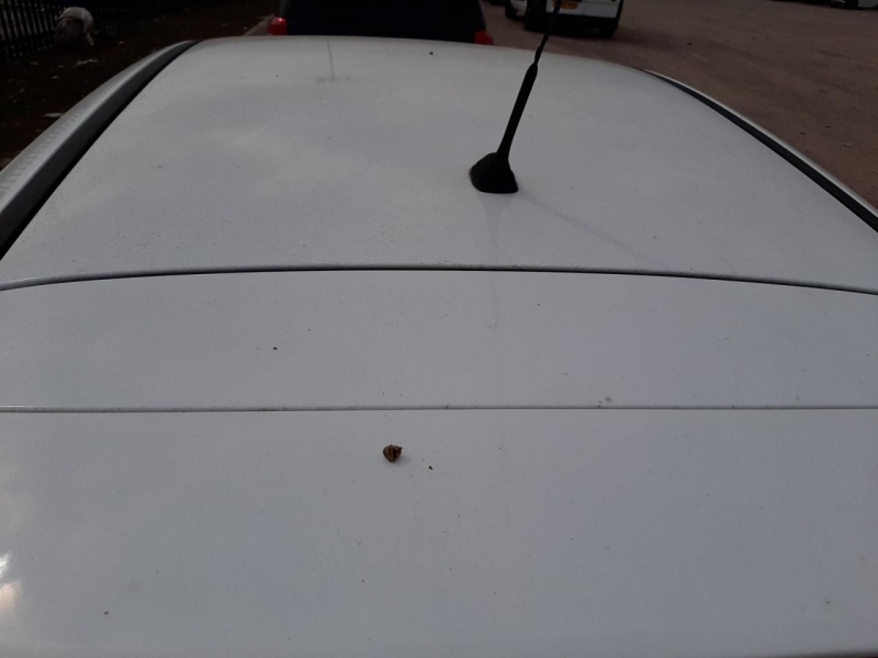 W314, Ford Focus 2011, 1.6, бензин, МКПП