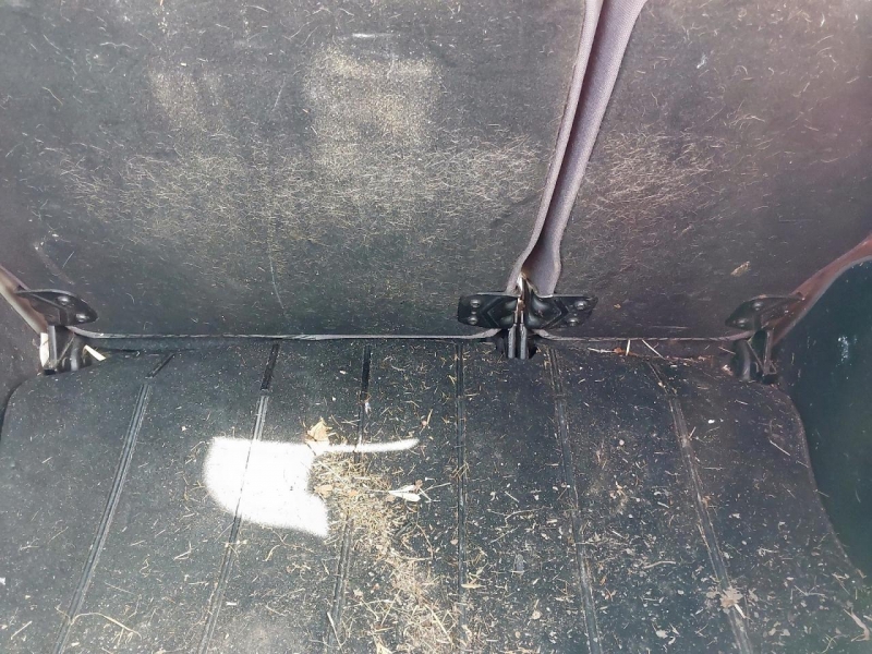 W337, Ford Fusion 2006, 1.6, бензин, АКПП