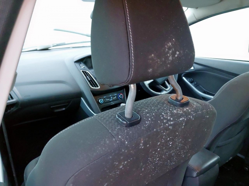 U279, Ford Focus 2015, 1.6, дизель, МКПП