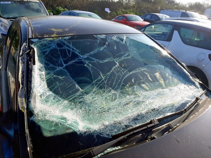 W420, Opel Astra 2009, 1.3, дизель, МКПП