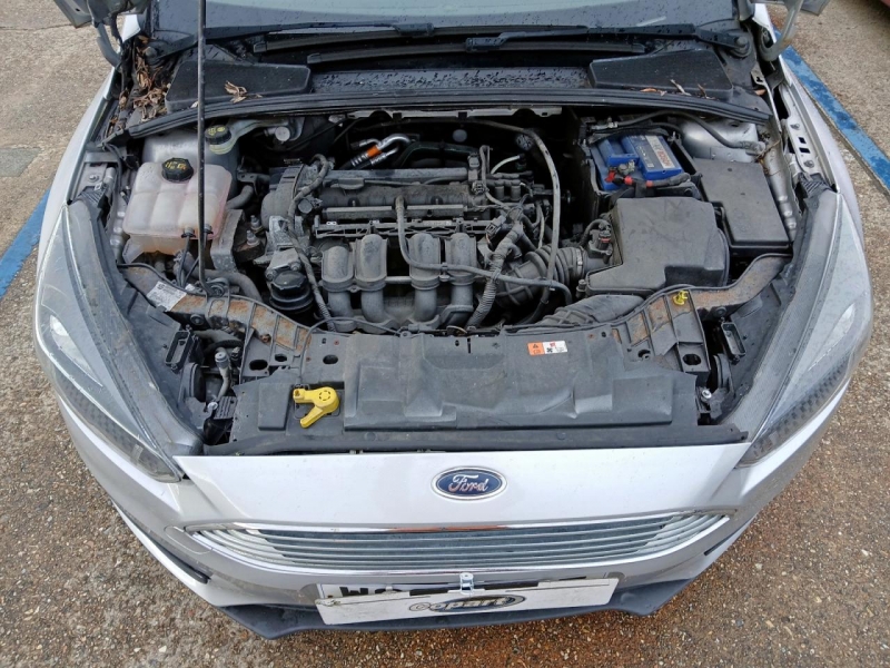 W437, Ford Focus 2015, 1.6, бензин, АКПП