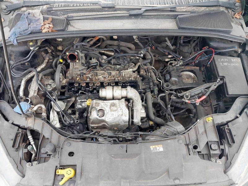 W449, Ford Focus 2017, 1.5, дизель, МКПП