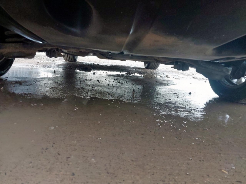 W449, Ford Focus 2017, 1.5, дизель, МКПП