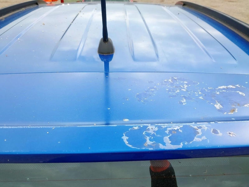 Y260, Suzuki Grand Vitara 2008, 1.6, бензин, МКПП