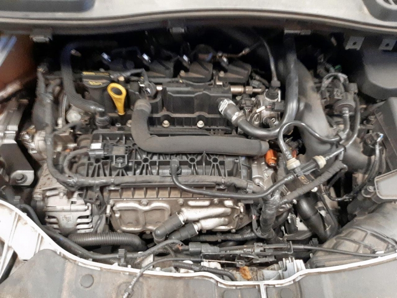 Y275, Ford Kuga 2018, 1.5, бензин, АКПП